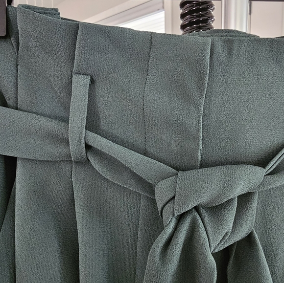 Pine Green pants from Babaton, Aritzia - Picture 4 of 6